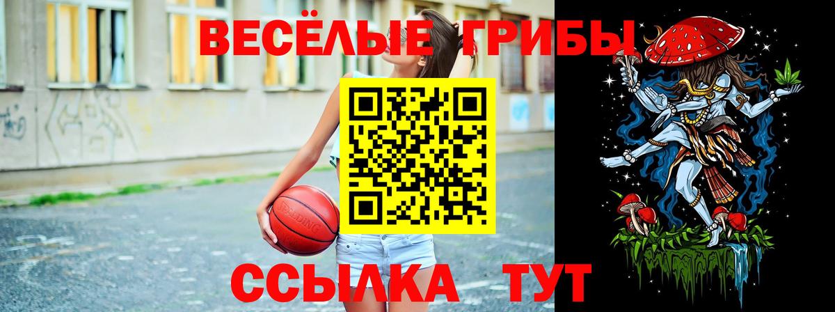 Галлюциногенные грибы мухоморы Москва